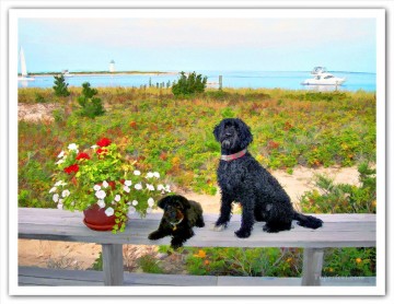 風景 Painting - ジェフ・ニューホフ ビーチの近くの犬